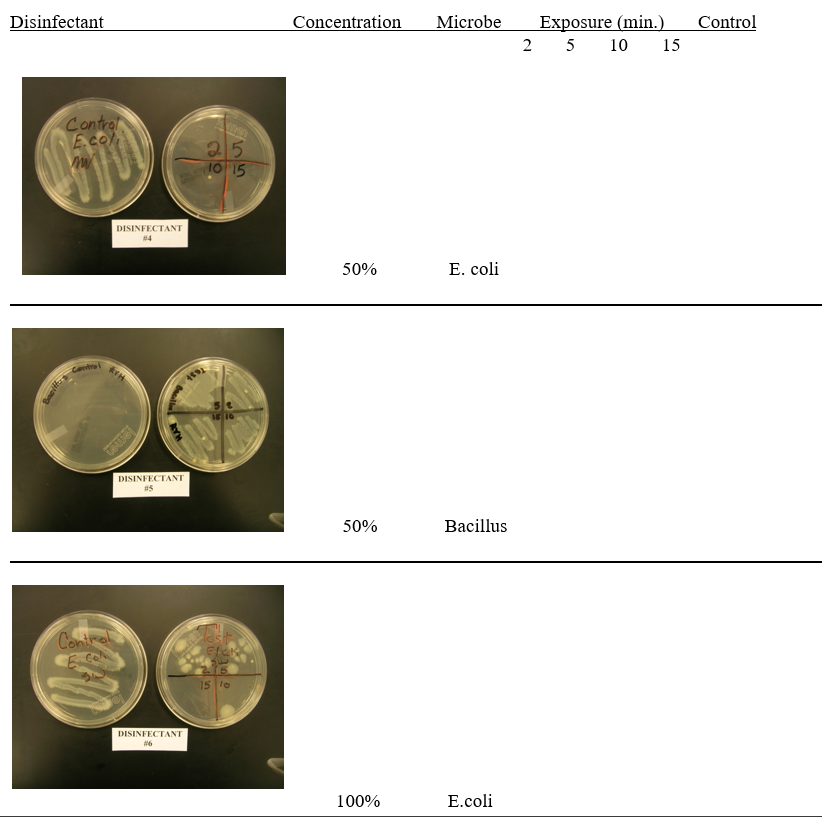 Observe all nutrient agar plates for growth.