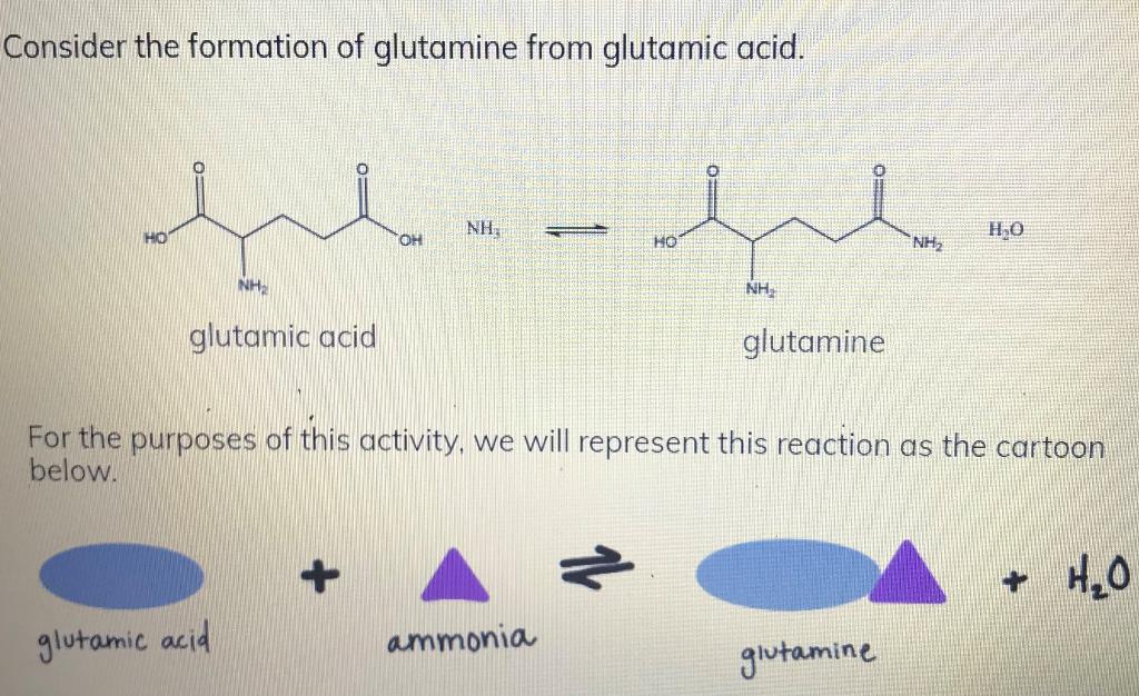 Solved Consider the formation of glutamine from glutamic