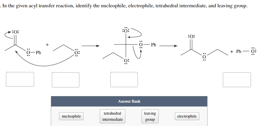 In the given acyl transfer reaction, identify the | Chegg.com