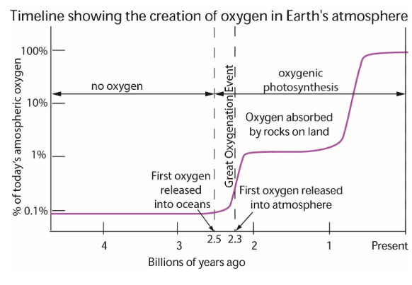 what percent of the earth's atmosphere is made up of oxygen