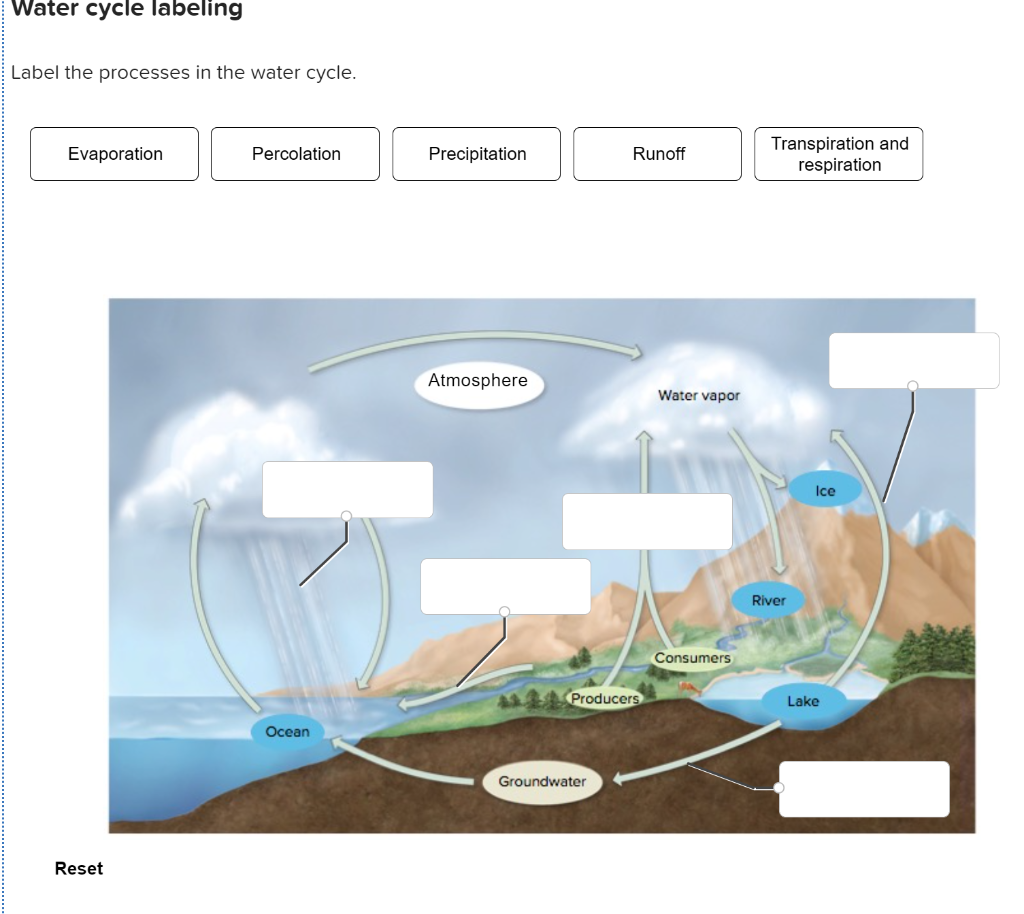 Solved Water Cycle Labeling Label The Processes In The Water Chegg