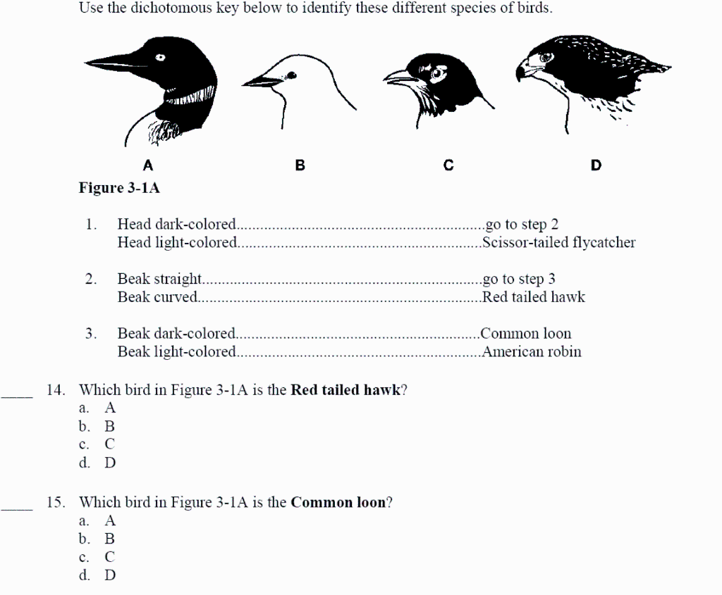 Solved Use the dichotomous key below to identify these | Chegg.com