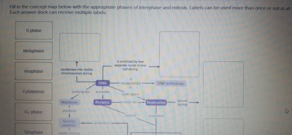 Solved Fill in the concept map below with the appropriate | Chegg.com