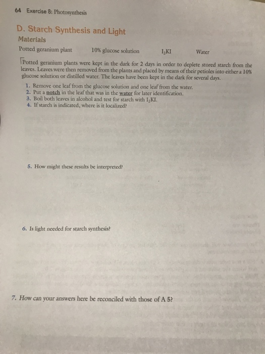 Solved 64 Exercise 8: Photosynthesis D. Starch Synthesis and | Chegg.com