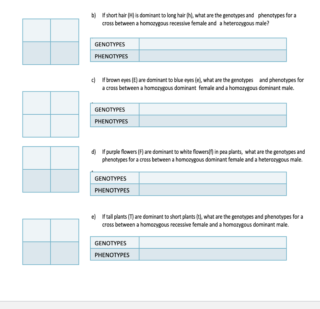 Solved For each of the following 5 problems, use Punnett | Chegg.com