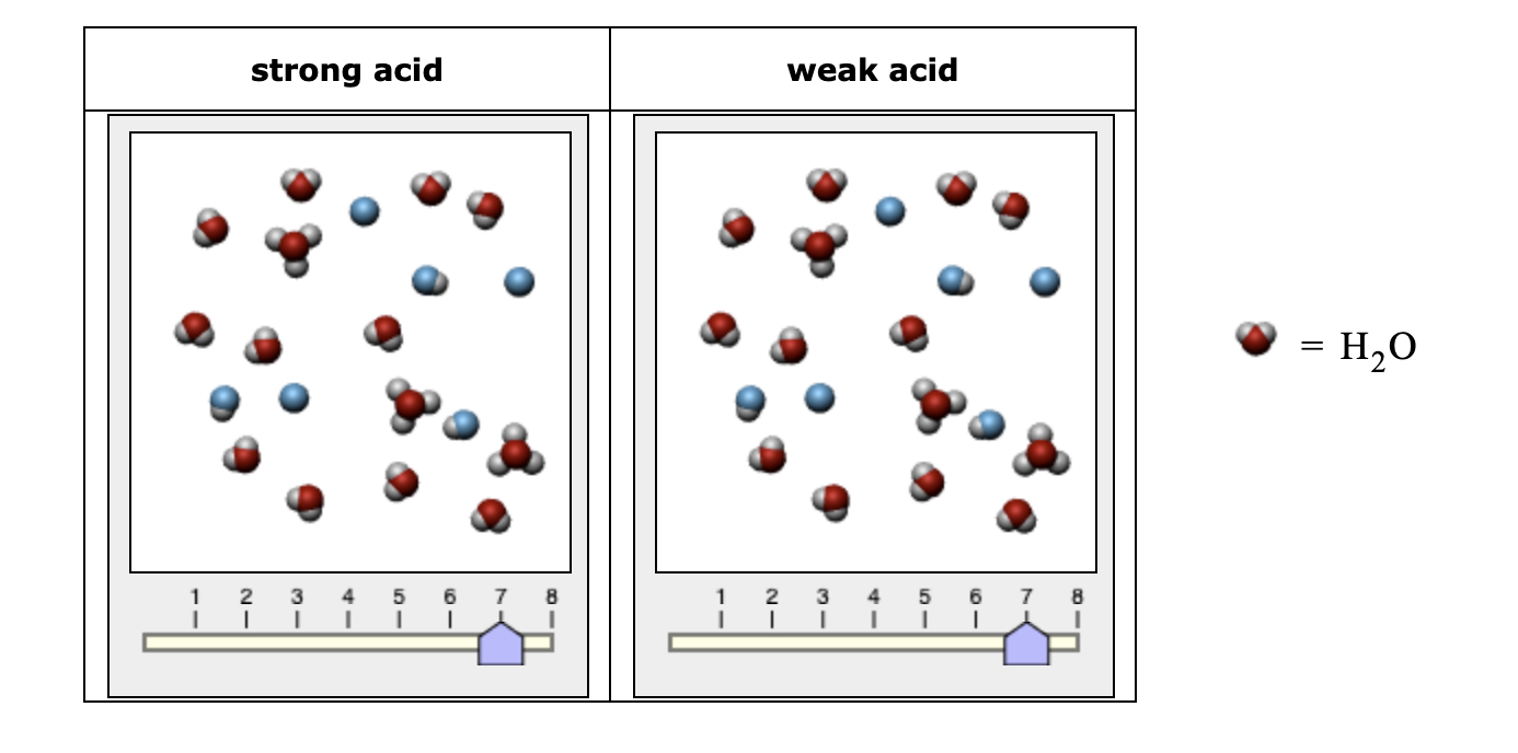 Solved Select The Sketches That Show Aqueous Solutions Of A