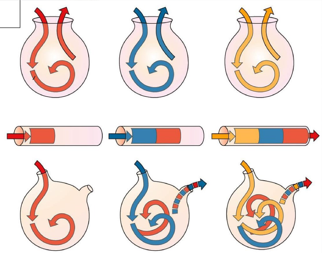 Solved Mammalian Stomachs, Batch Reactor, Continuous-flow | Chegg.com