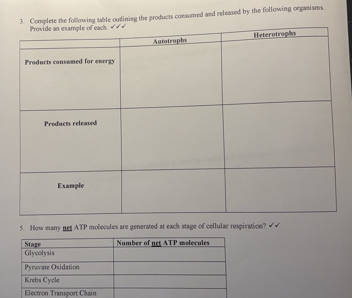 higher biology essay questions and answers