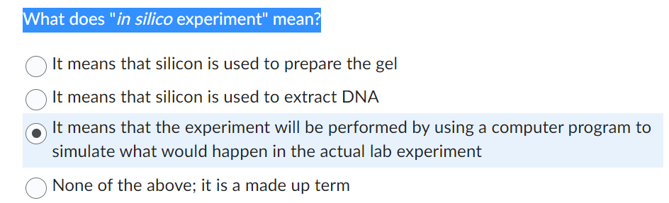 what does in silico experiment mean