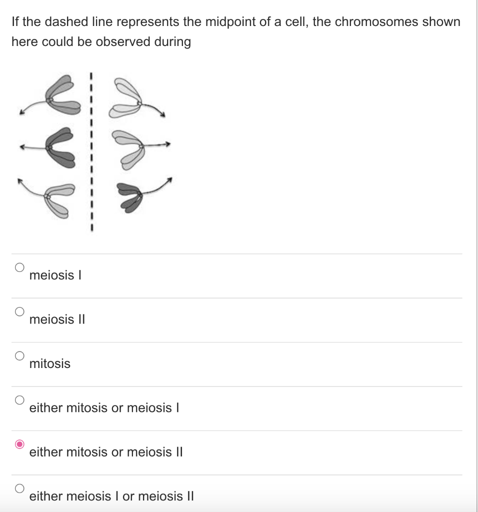 Solved Frogs have a diploid number of 26 chromosomes