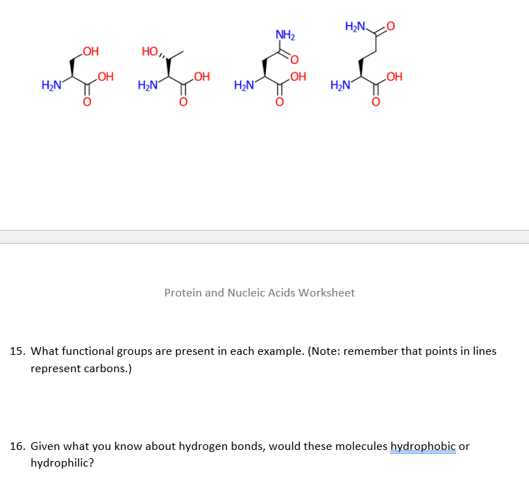 [Solved] Protein and Nucleic Acids Worksheet 15. What func