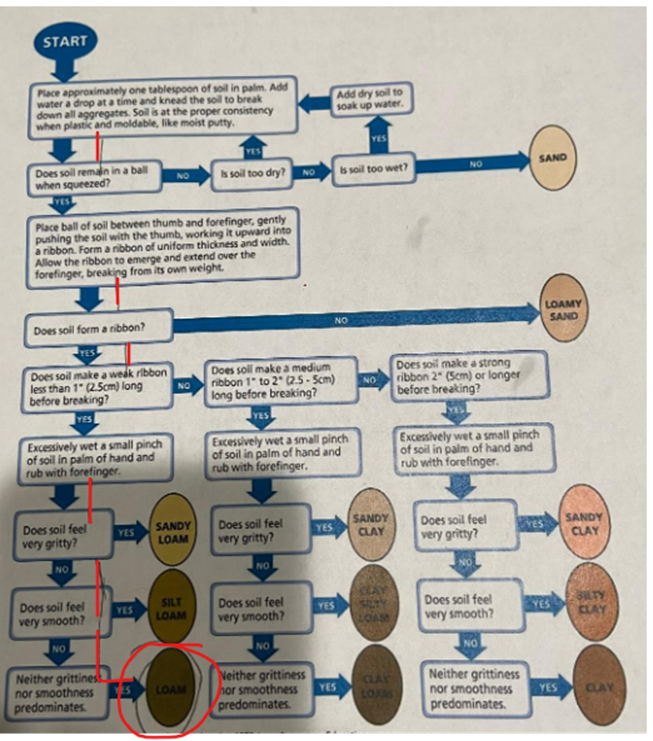 Your assignment is to perform a visual soil and | Chegg.com