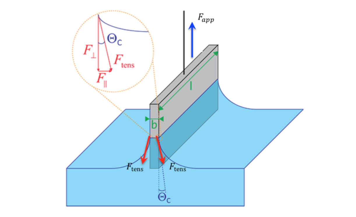 A Wilhelmy plate is a thin plate that is used to
