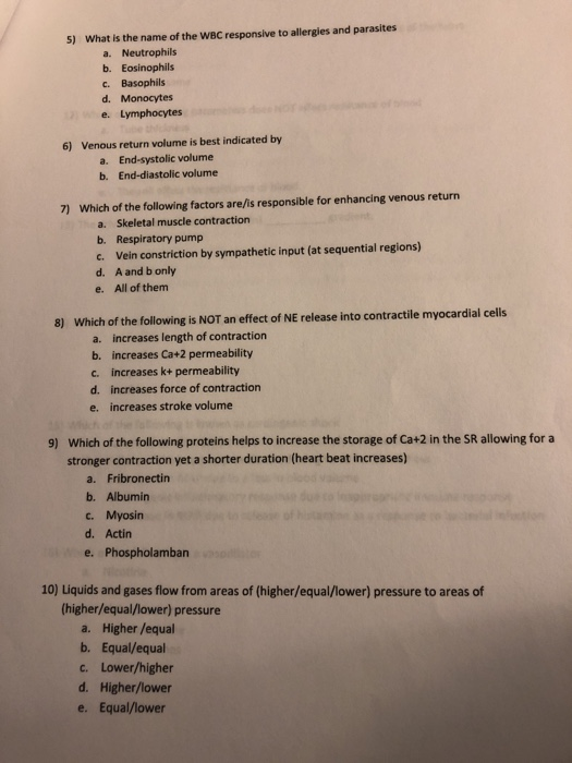 which cells are responsible for antibody production