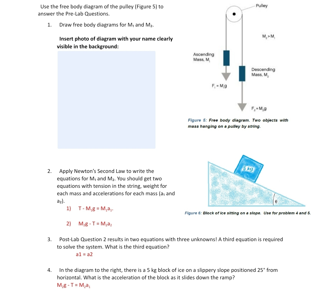 Solved Pulley Use the free body diagram of the pulley | Chegg.com