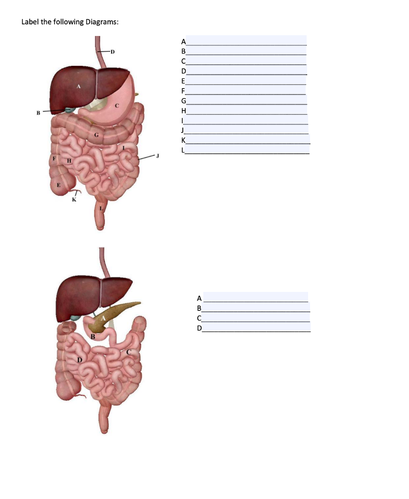 Solved Label the following Diagrams: | Chegg.com