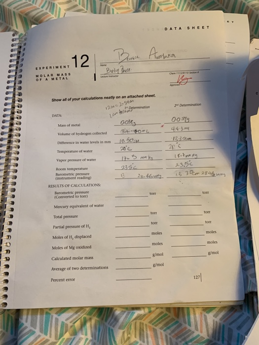 DATA SHEET EXPERIMENT MOLAR MASS OFAMETAL Show all of