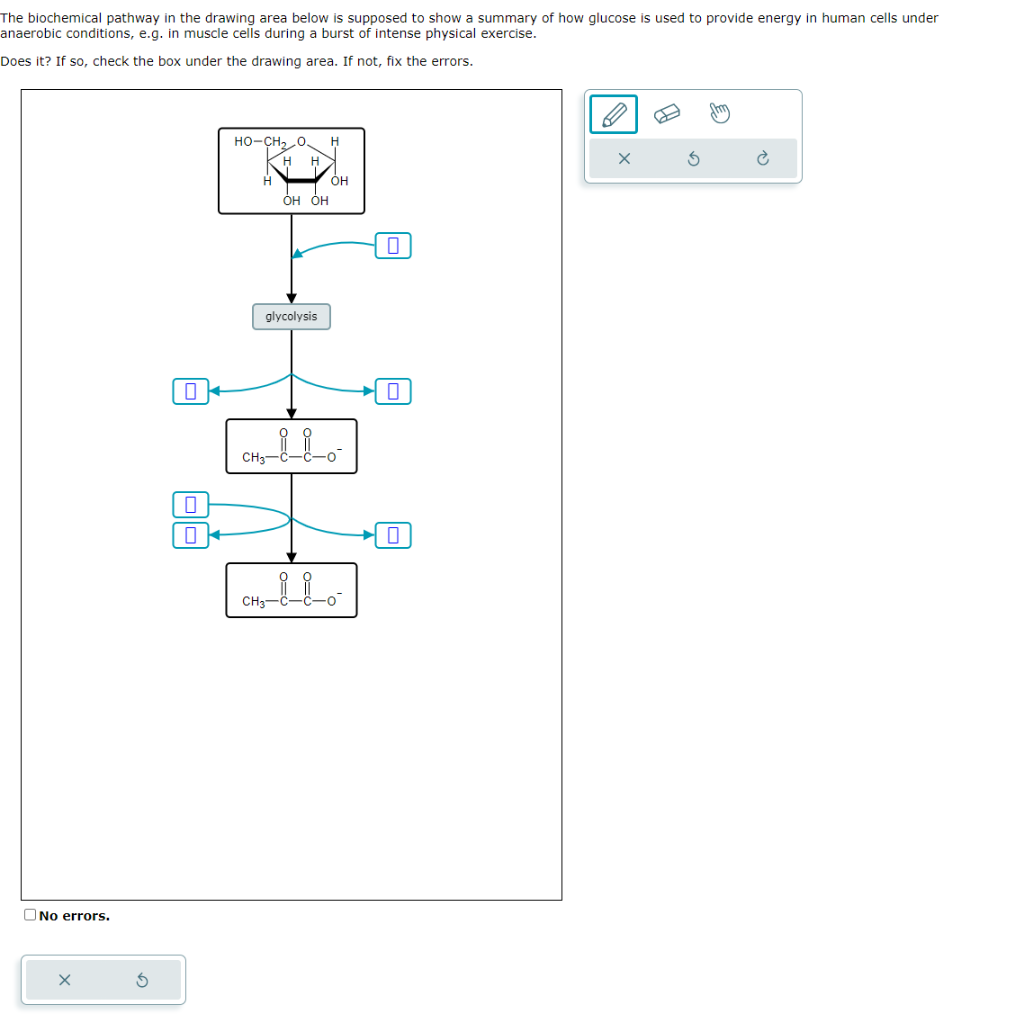 Solved He Biochemical Pathway In The Drawing Area Below Is | Chegg.com