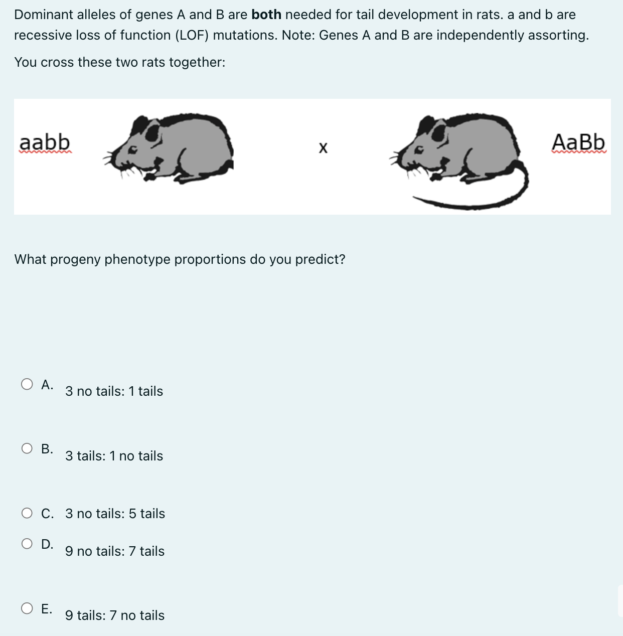 Solved Dominant Alleles Of Genes A And B Are Both Needed For | Chegg.com