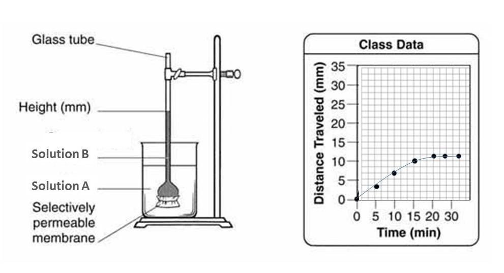 Solved 2. The experimental setup below shows an osmometer.