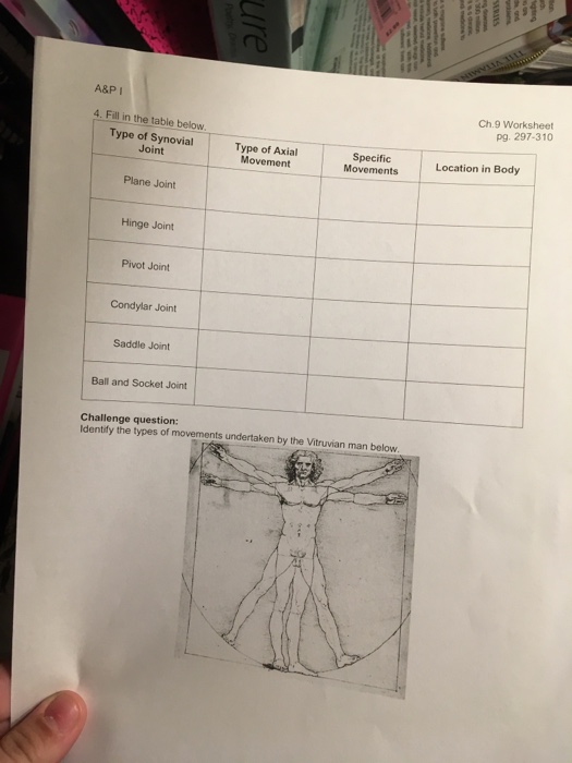 Joints And Movement Worksheet Answers - Worksheet List