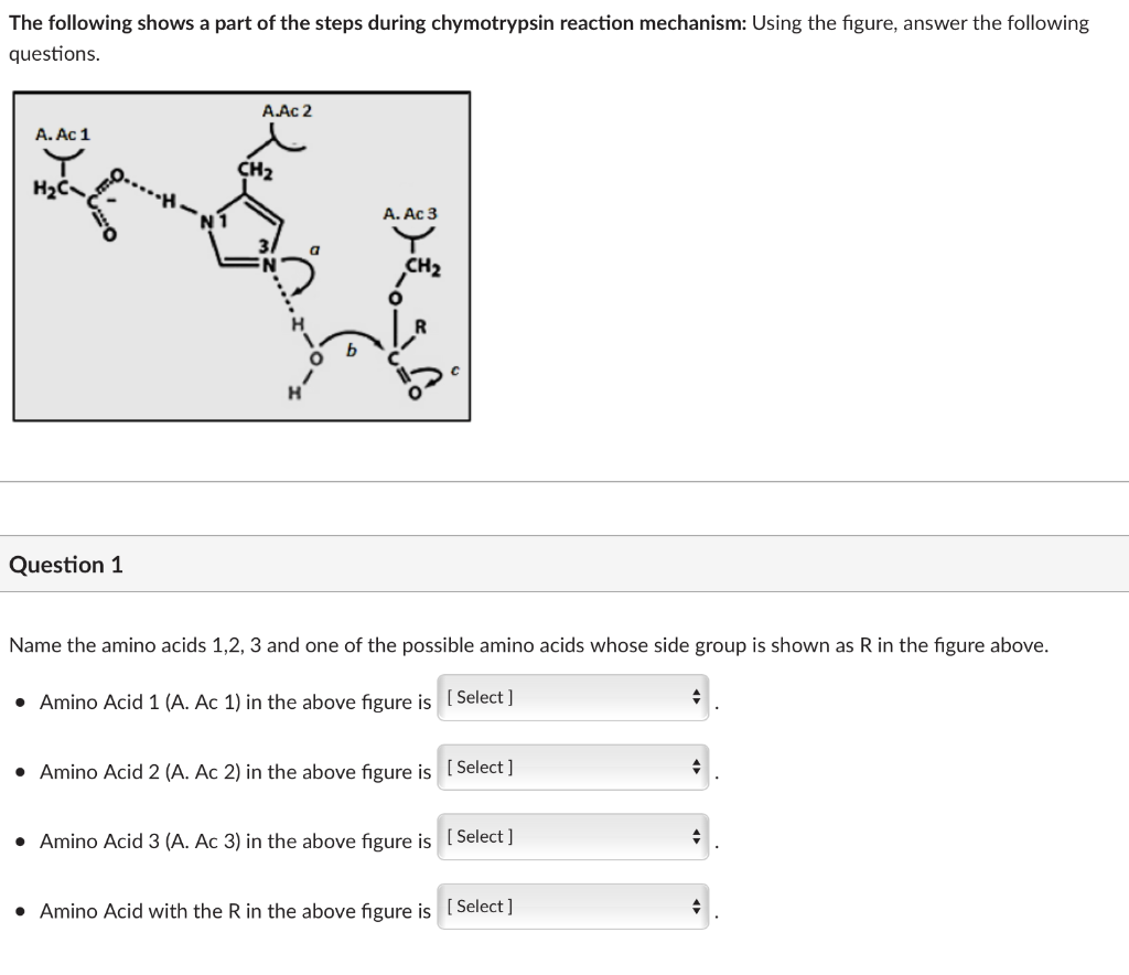 The following shows a part of the steps during chymotrypsin reaction mechanism: Using the figure, answer the following
questi