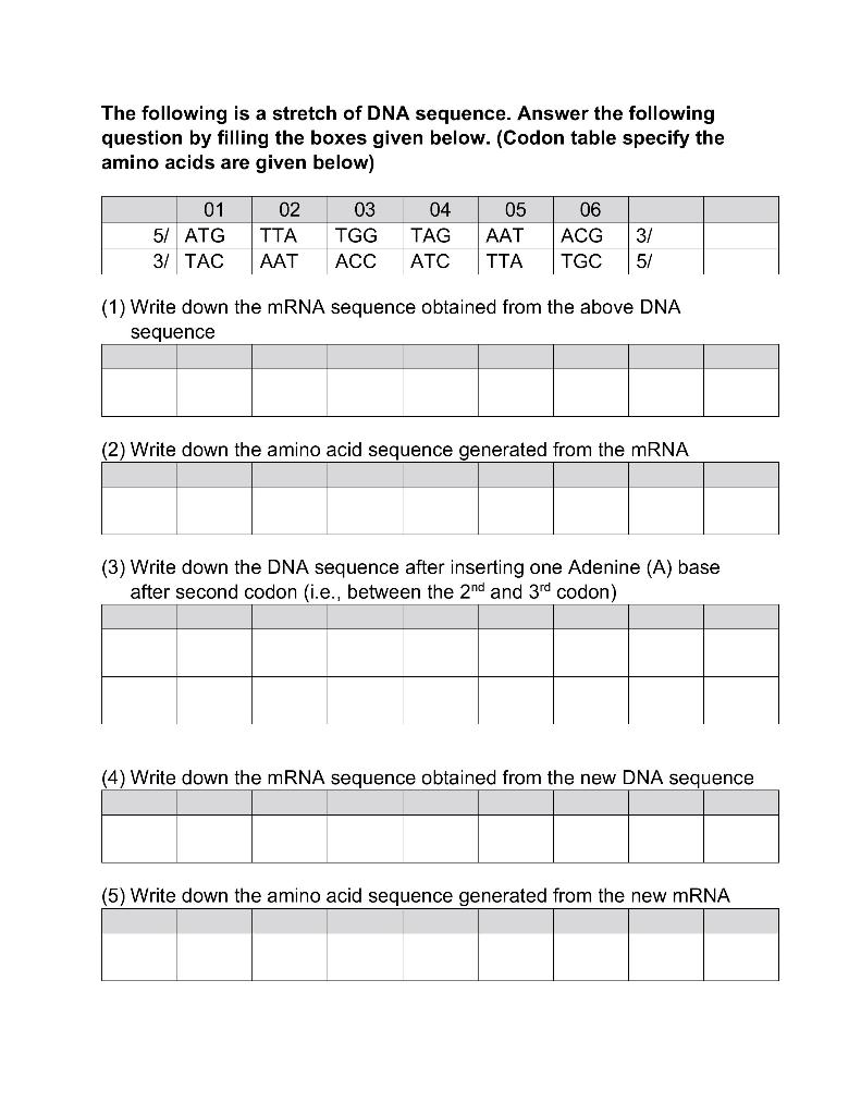 Solved The following is a stretch of DNA sequence. Answer | Chegg.com