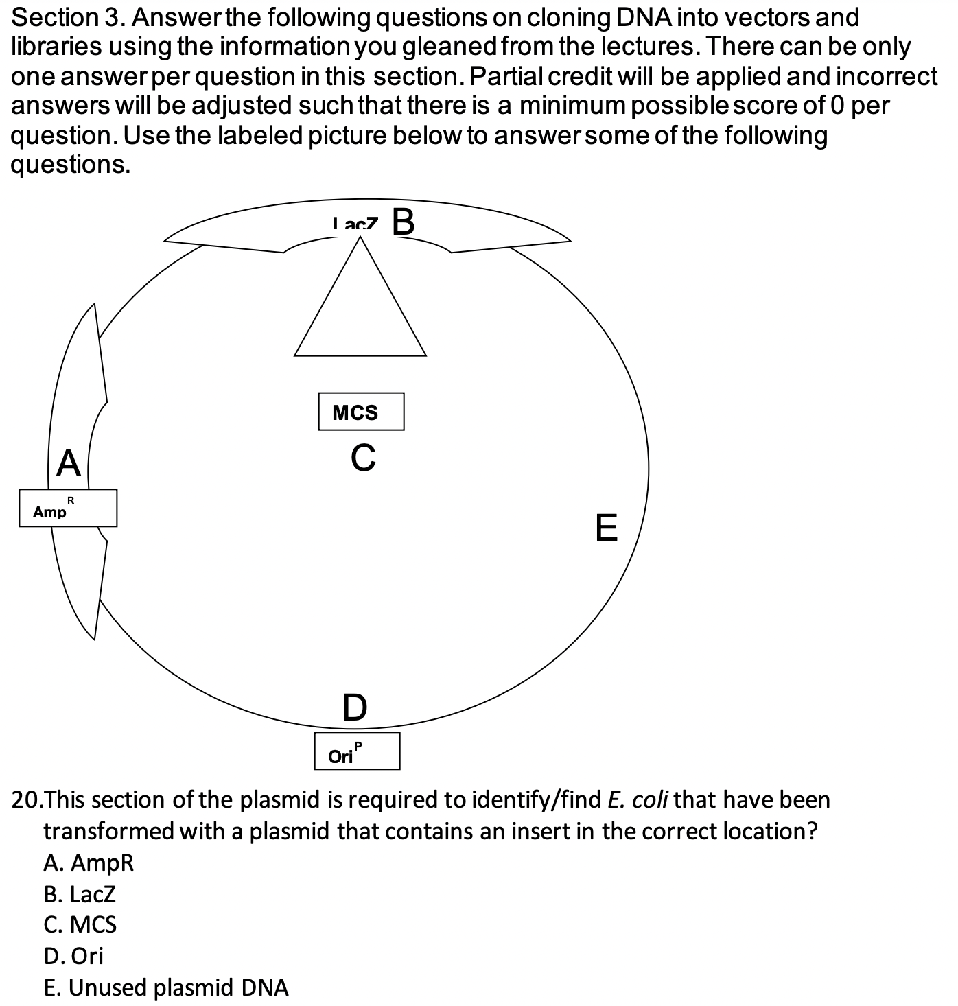 Solved Section 3. Answer the following questions on cloning