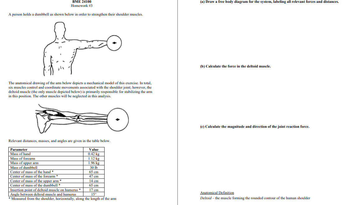 Solved | BME 24100 Homework #3 (a) Draw A Free Body Diagram | Chegg.com