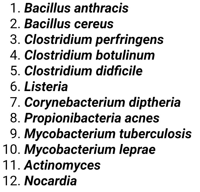 Bacillus Cereus Characteristics Chart