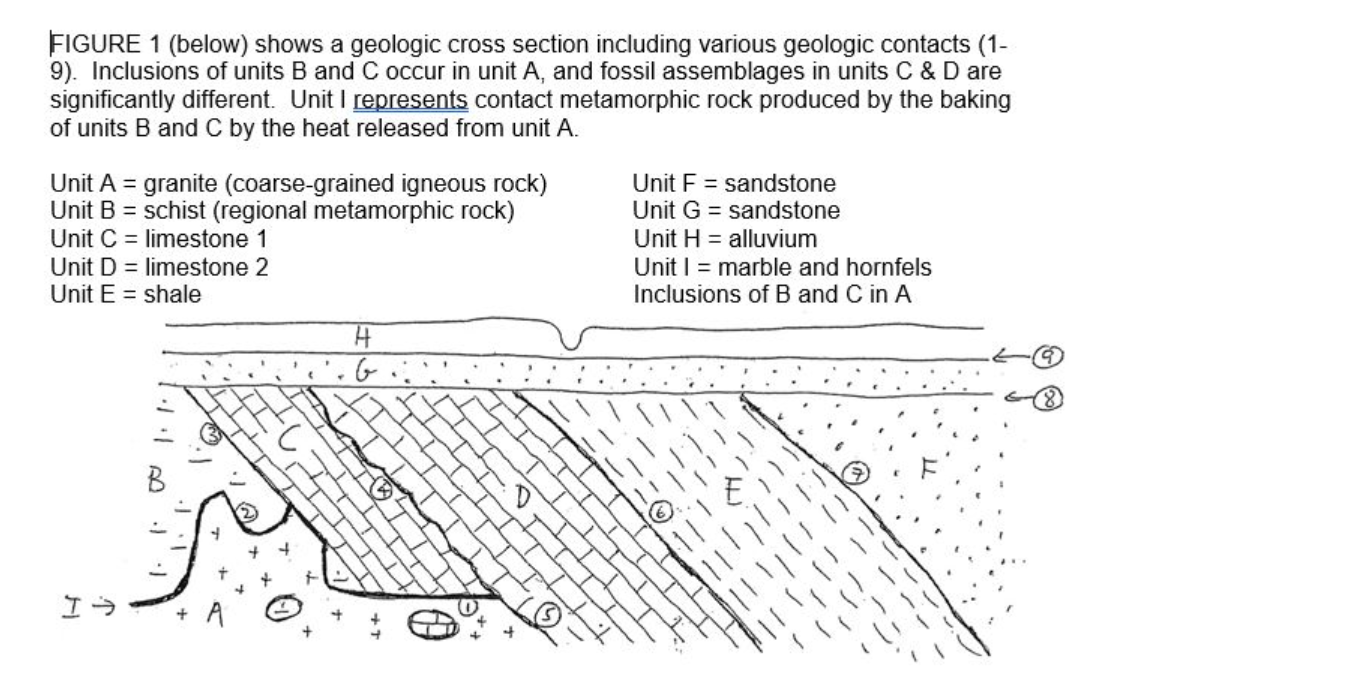 Solved A) Geologic contacts 1 and 2 in Figure 1 are best