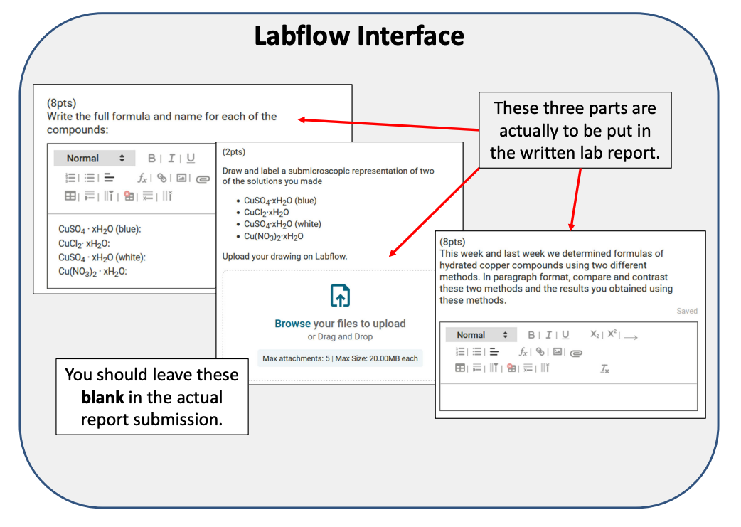 Instructions: This template can be used to set up lab | Chegg.com