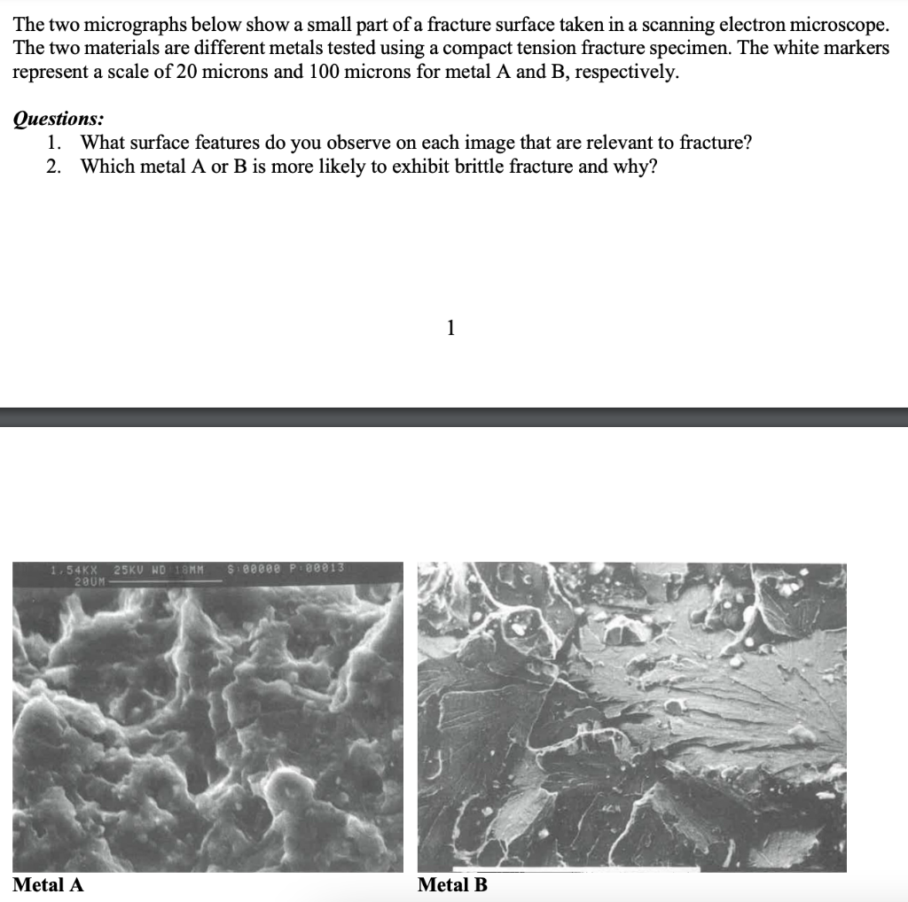 Scanning electron micrographs showing fracture morphology: (a) overall