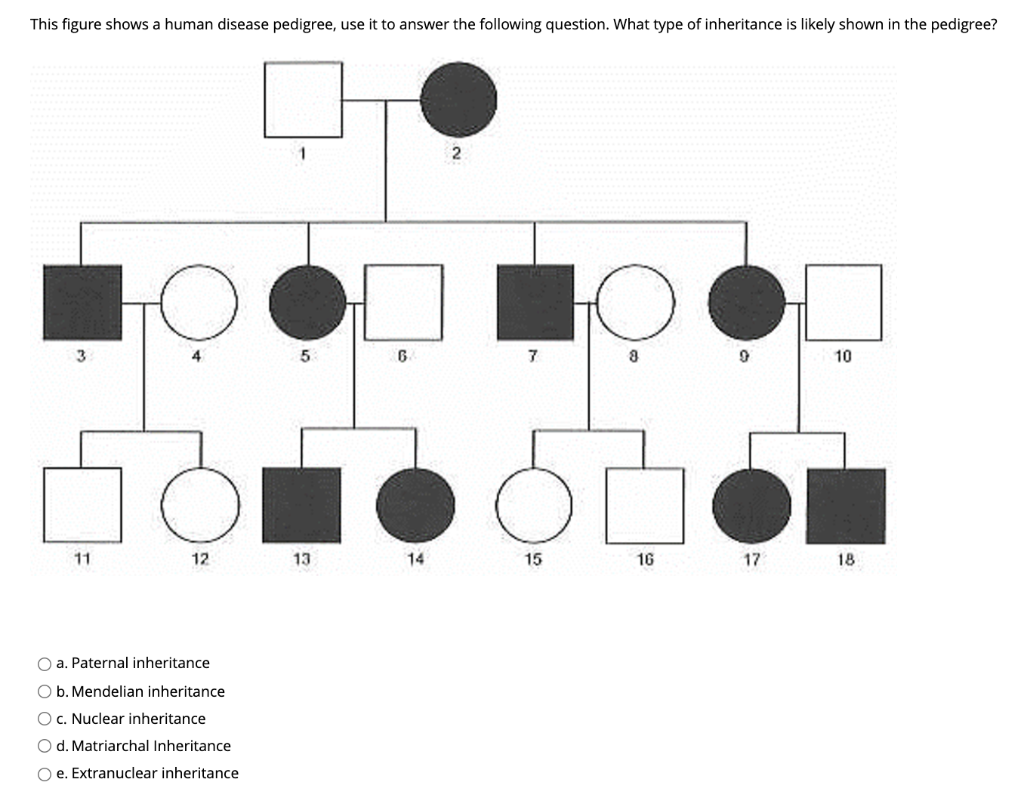 Solved This figure shows a human disease pedigree, use it to | Chegg.com