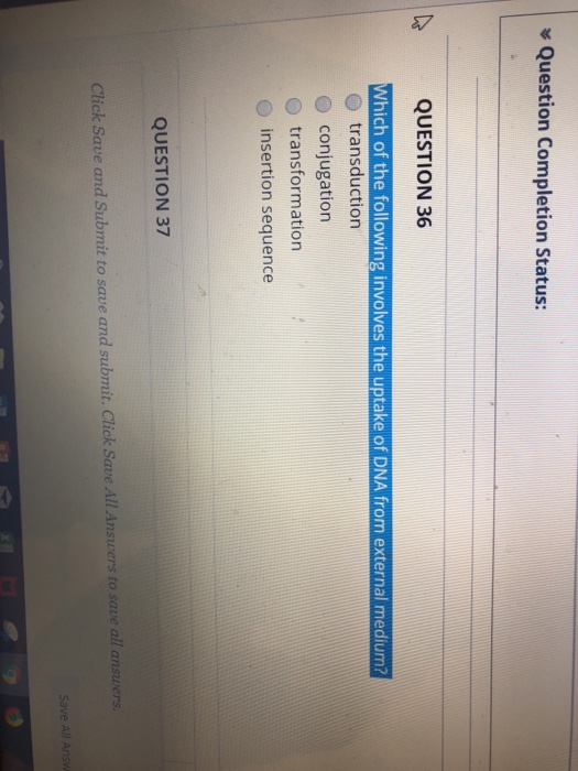Solved Question Completion Status: QUESTION 36 Which of the | Chegg.com