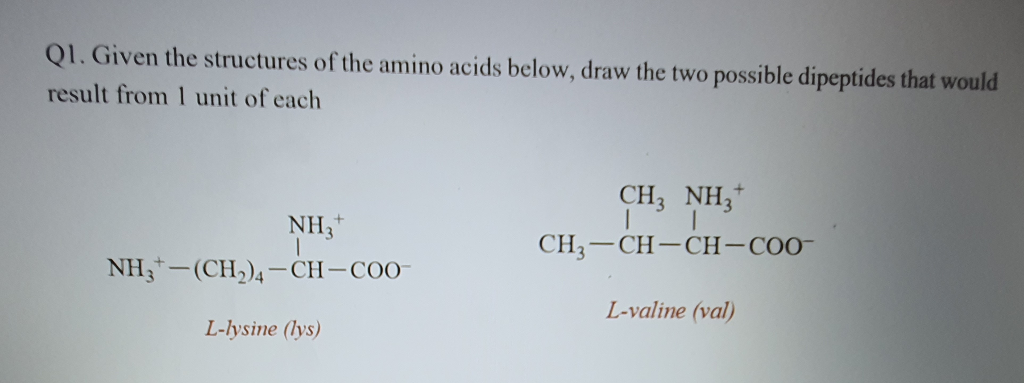 Solved Q1. Given The Structures Of The Amino Acids Below, | Chegg.com ...