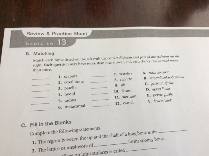 Solved Review & Practice Sheet Exercise B. Matching Match | Chegg.com