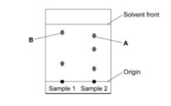 Solved Chromatography is a useful technique for separating | Chegg.com
