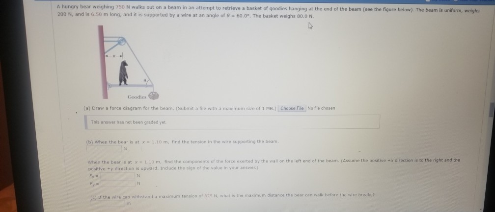 Solved A hungry bear weighing 7S0 N walks out on a beam in | Chegg.com