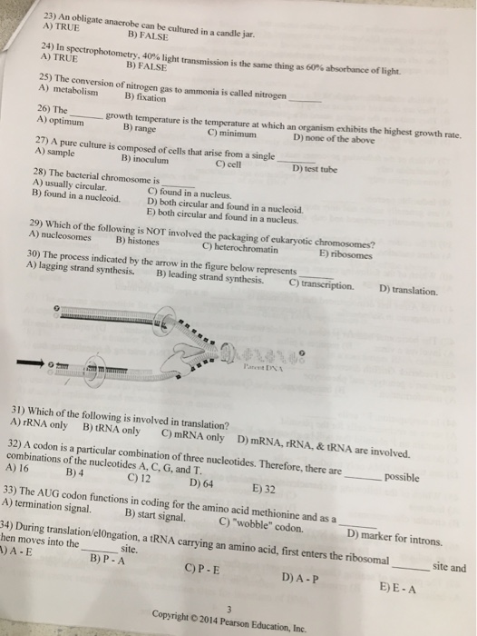 New Study 1Z1-083 Questions