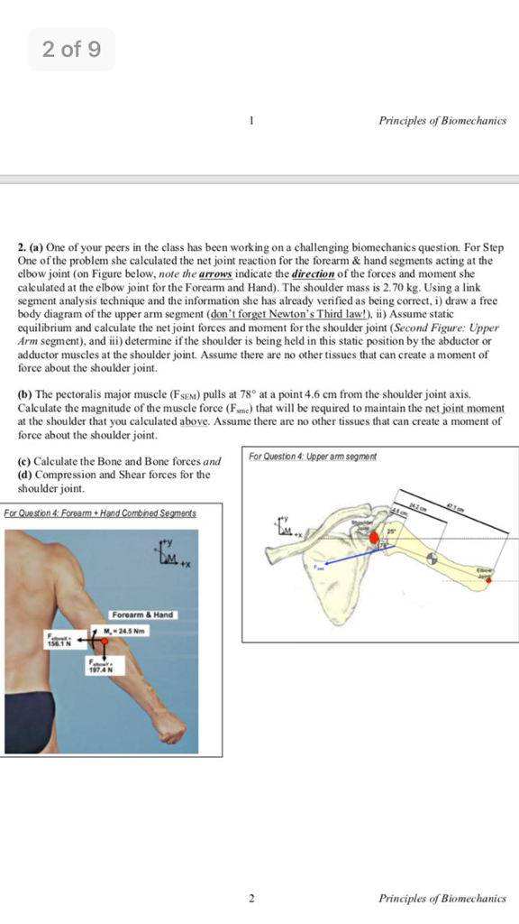 Solved 2 Of 9 Principles Of Biomechanics 2. (a) One Of Your | Chegg.com