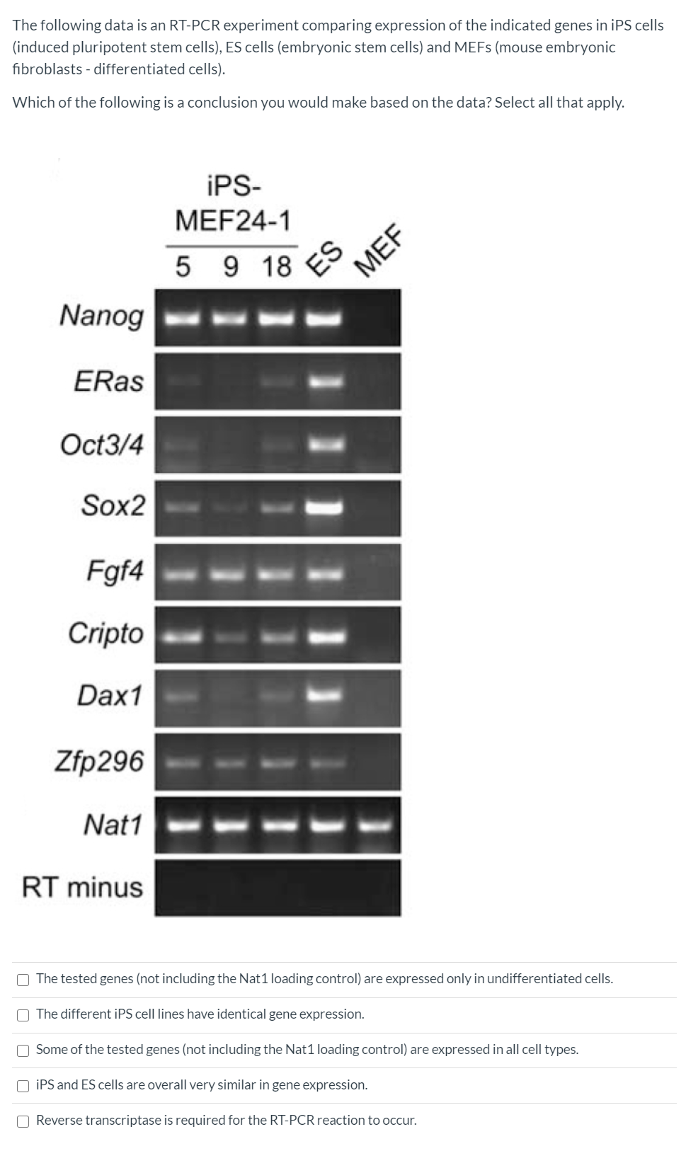 conclusion for pcr experiment