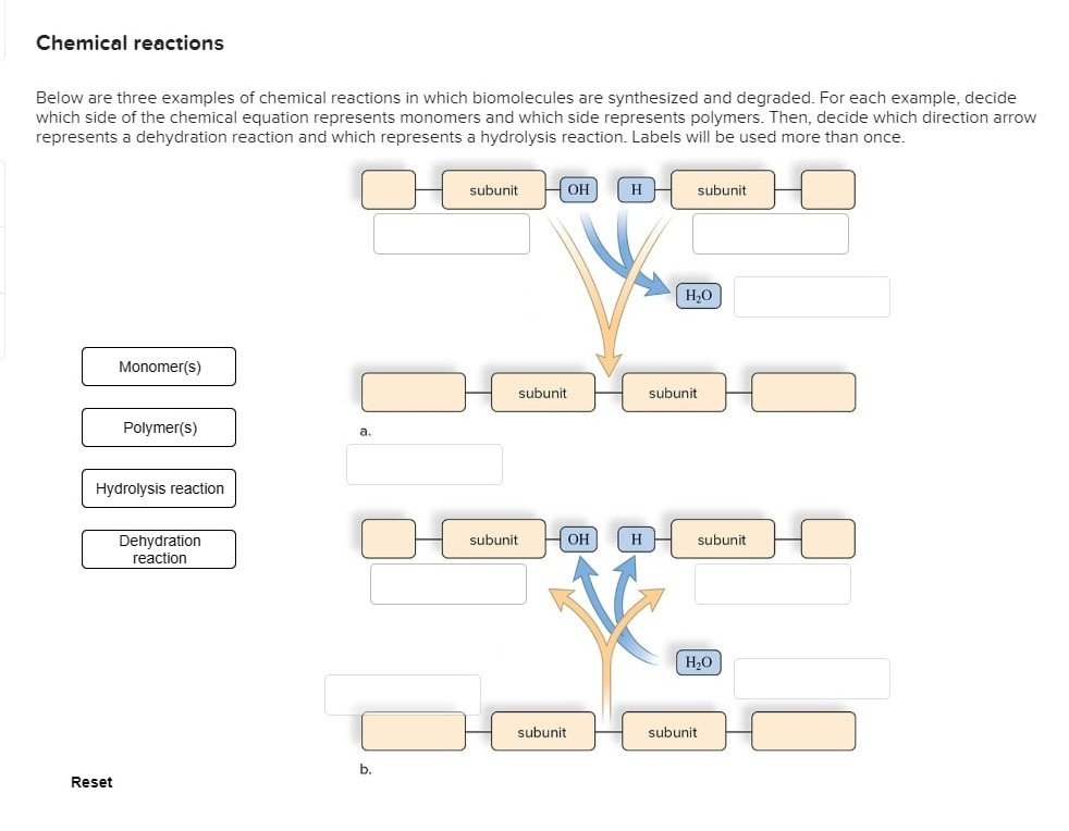 Solved Chemical Reactions Below Are Three Examples Of Chegg