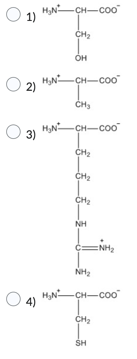 Solved Which of the following is most likely to be found in | Chegg.com