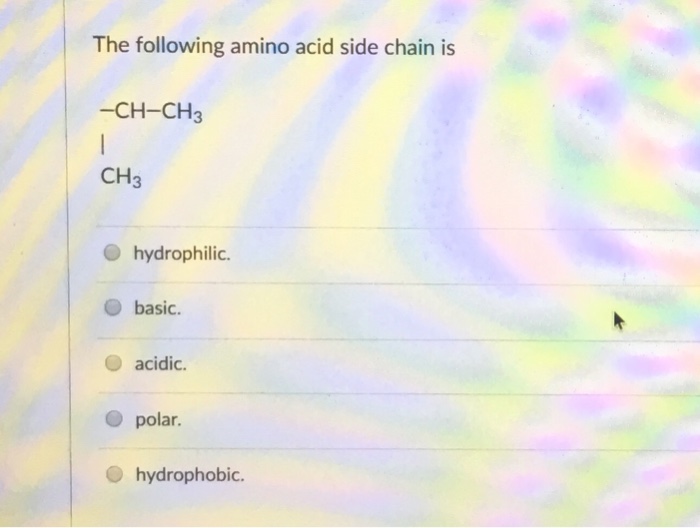 Solved The following amino acid side chain is CH-CH3 CH3 O | Chegg.com