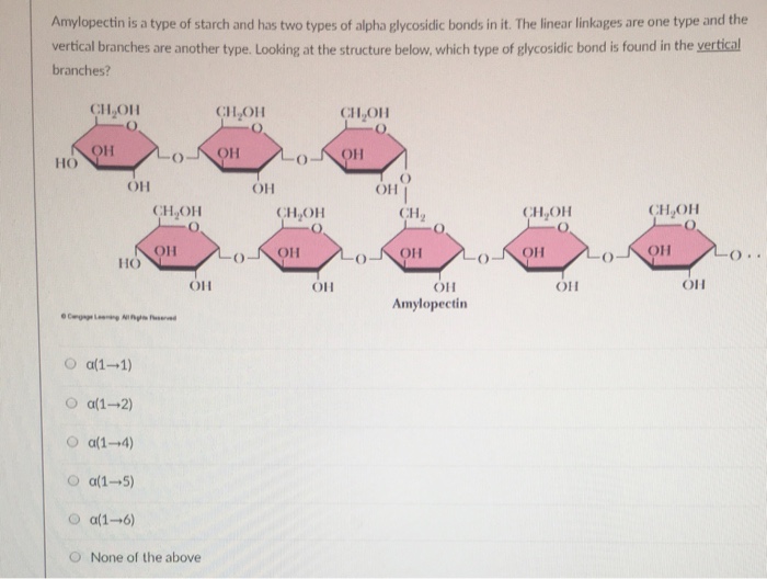 atp-can-be-broken-down-into-wasfa-blog