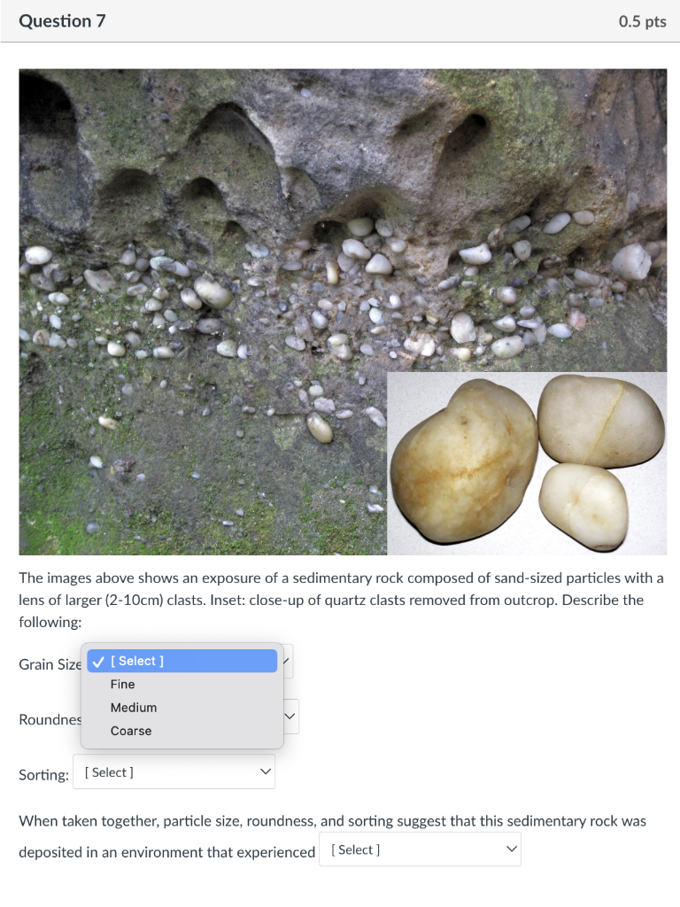 Question 7
\( 0.5 \) pts
The images above shows an exposure of a sedimentary rock composed of sand-sized particles with a len