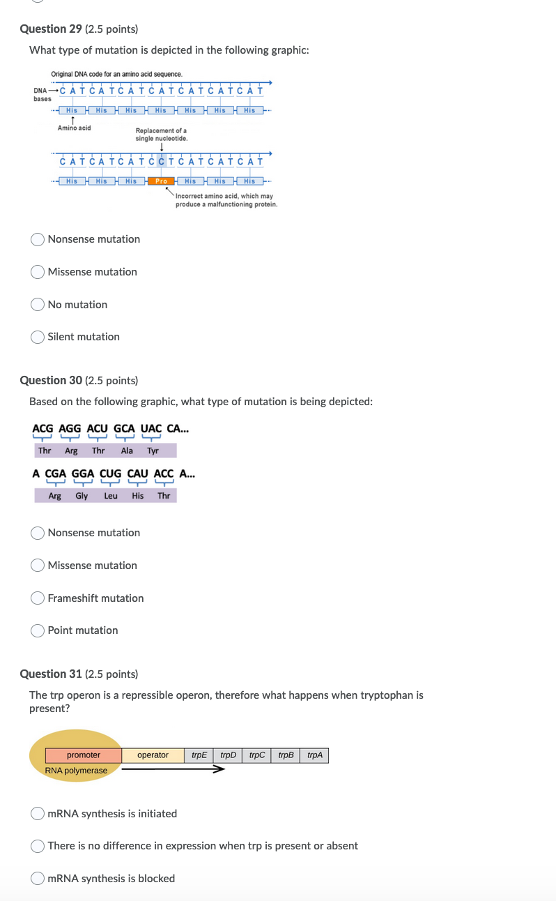 Solved Question 29 (2.5 points) What type of mutation is | Chegg.com