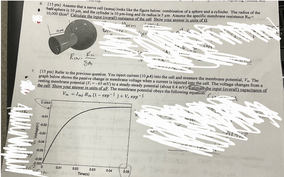 Solved 6. {15 pts } Assume that a nerve cell (soma) looks | Chegg.com