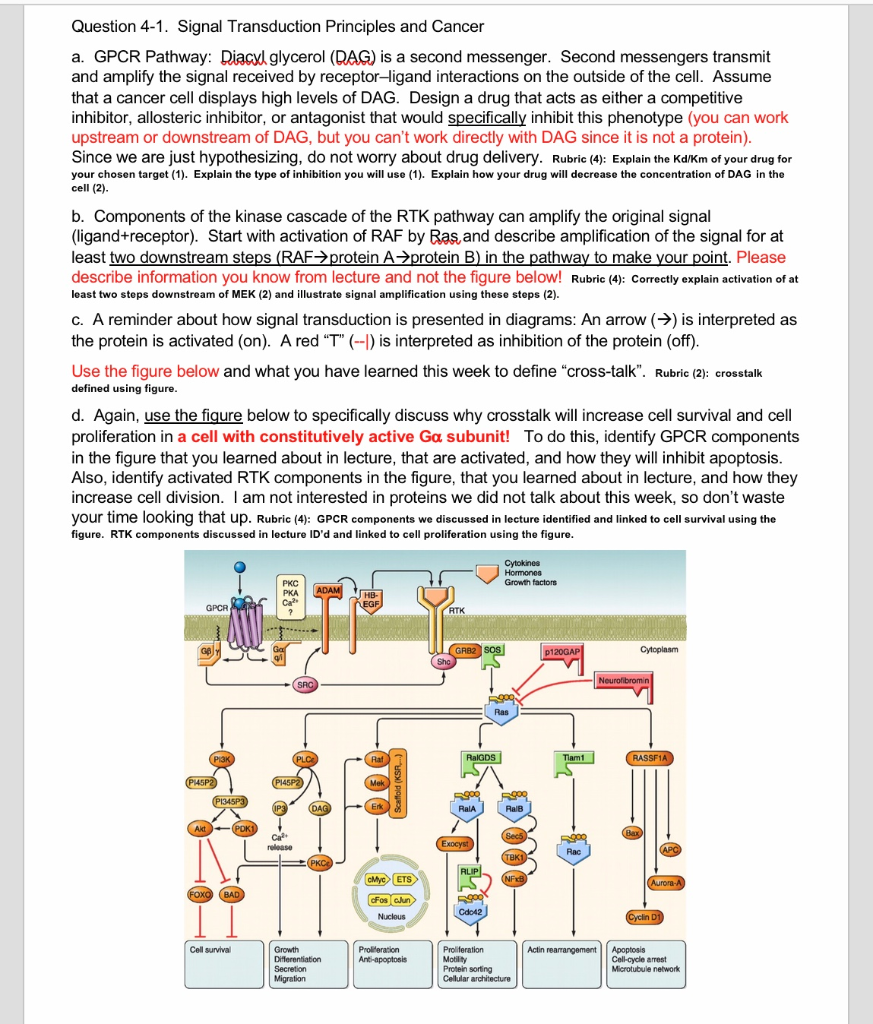Solved Question 41. Signal Transduction Principles and